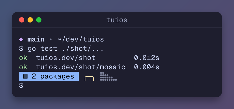 A terminal window drawn by shot in GeistMono Nerd Font Mono: a prompt, go test output, a box corner and braille, on a gradient