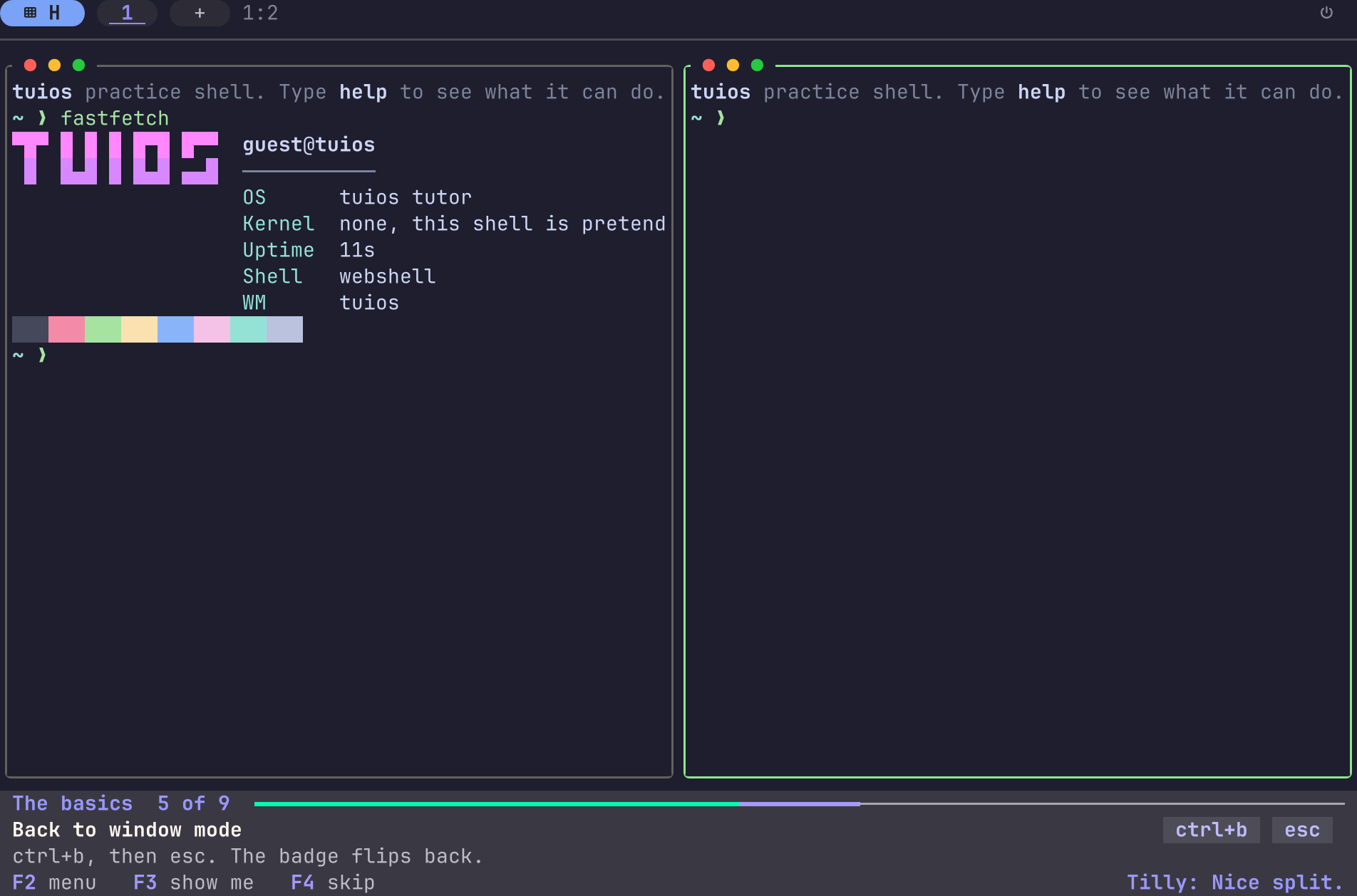 The tutor at step 5 of 9 of the basics. Two panes run a practice shell, and the left pane shows the output of fastfetch. It says the kernel is none, because this shell is pretend. A card under the panes names the step, Back to window mode, with the keys ctrl+b and esc.